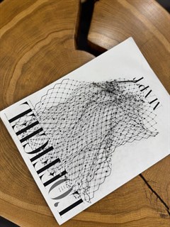 СЕТОЧКА для волос со стразами (черная с серебристым) by Beretkah - фото 39536